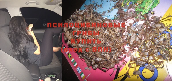 мескалин Алексин