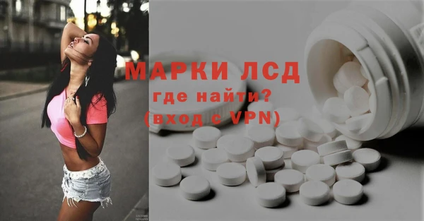 прущие грибы Алзамай