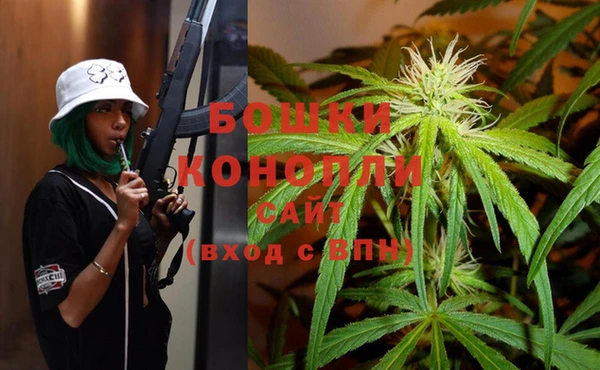 индика Алексеевка