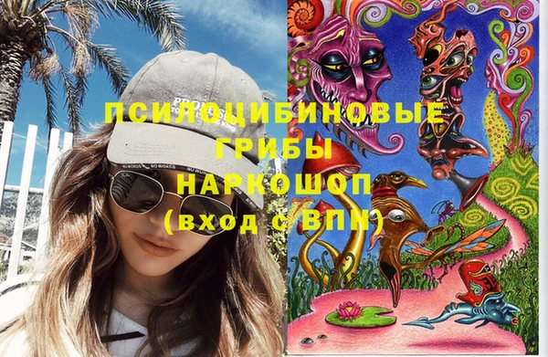 прущие грибы Алзамай