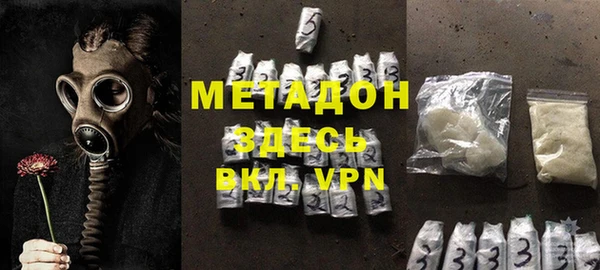 прущие грибы Алзамай