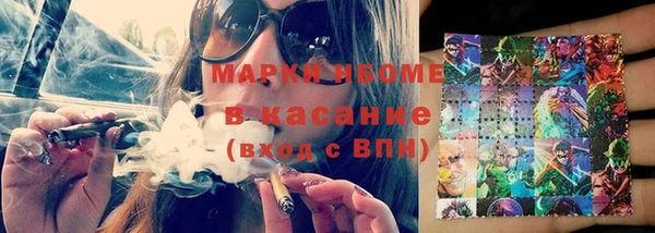 прущие грибы Алзамай