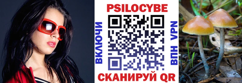 Галлюциногенные грибы прущие грибы  как найти закладки  Бикин 